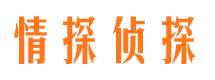 宁海市调查公司